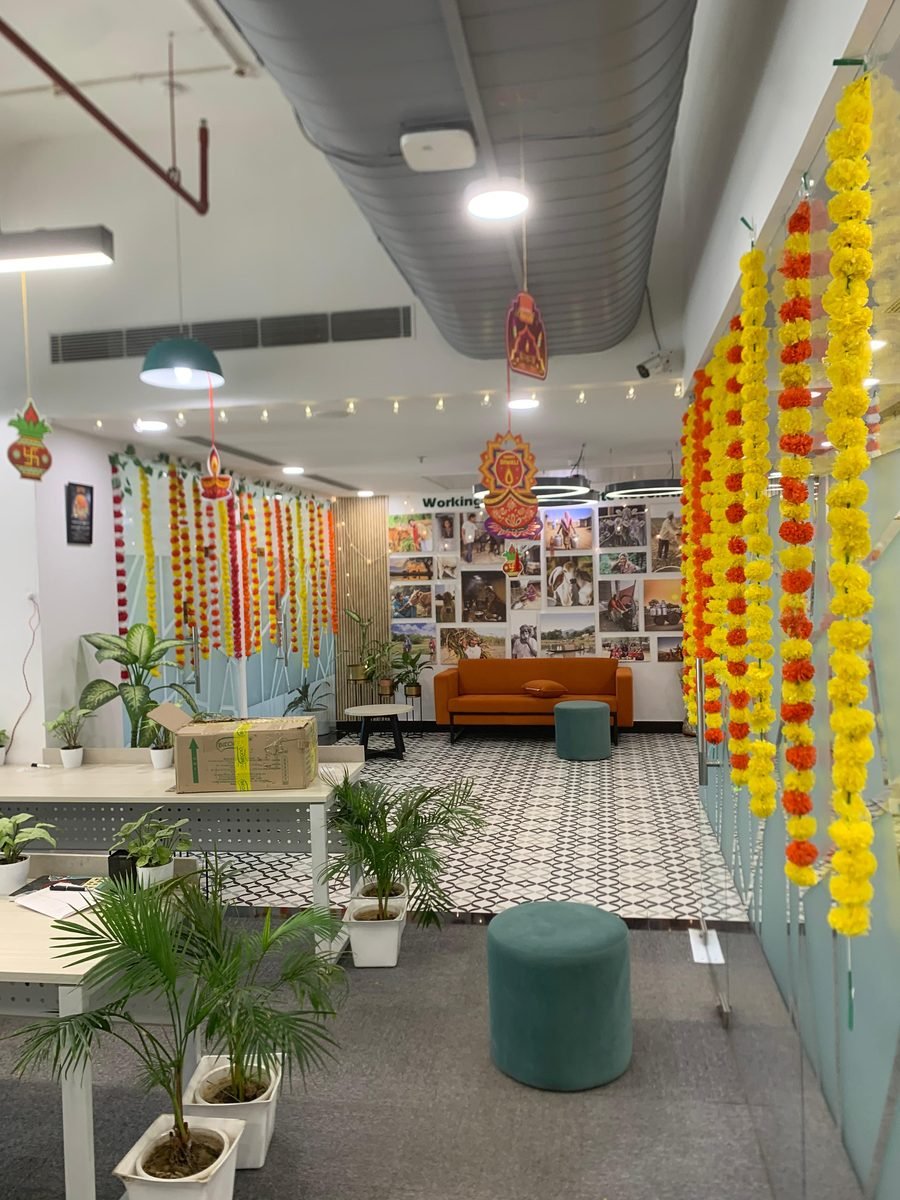 Festive Diwali & Deepavali Celebration Ethnic Royal Fairy Light Drapes (Design #30) - Festivals in Gurugram